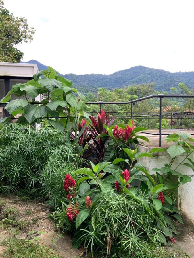 Minca Seasons Birds旅舍 外观 照片